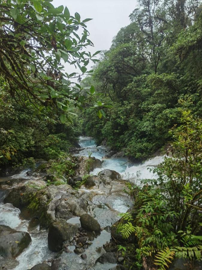 Selvatica Del Toro Apartment Bajos del Toro Luaran gambar