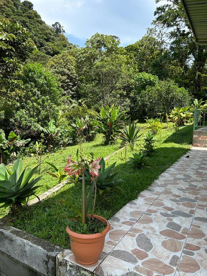 Selvatica Del Toro Apartment Bajos del Toro Luaran gambar