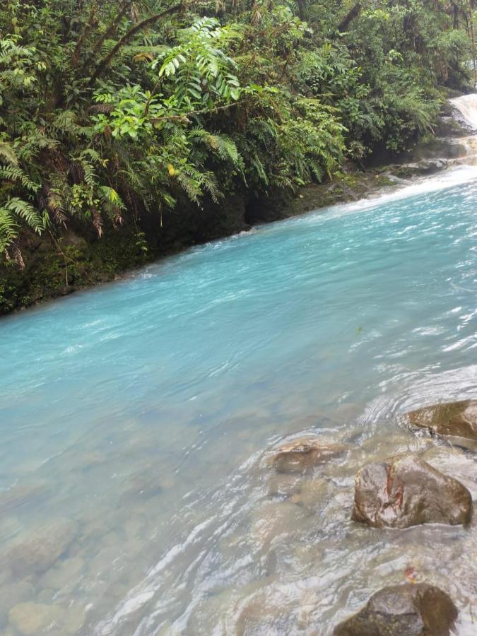 Selvatica Del Toro Apartment Bajos del Toro Luaran gambar