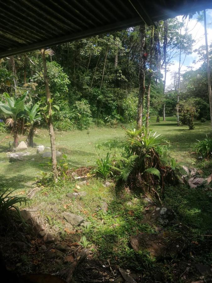 Selvatica Del Toro Apartment Bajos del Toro Luaran gambar