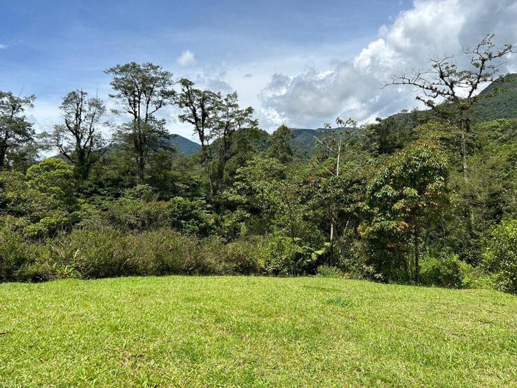 Selvatica Del Toro Apartment Bajos del Toro Luaran gambar